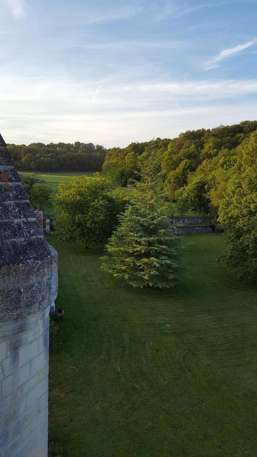 Château de Ré Le Petit-Pressigny Esterno foto